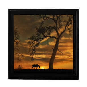 Fine Art Photography Tile Box Horse and Oaks