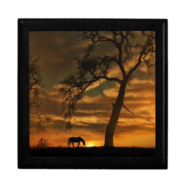 Fine Art Photography Tile Box Horse and Oaks (Front)