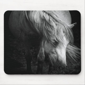 Fine Art Pony Head and Mane Mouse Pad