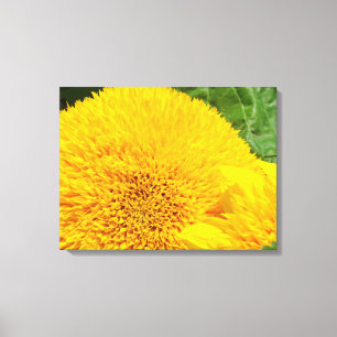 Fine Art Prints Summer Yellow Sunflowers Floral