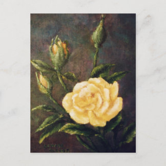 Fine Art Yellow Rose and Buds Still Life Postcard