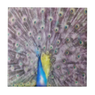 Fine Feather Peacock Mating Plumage Ceramic Tile