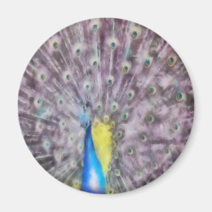 Fine Feather Peacock Mating Plumage Magnet