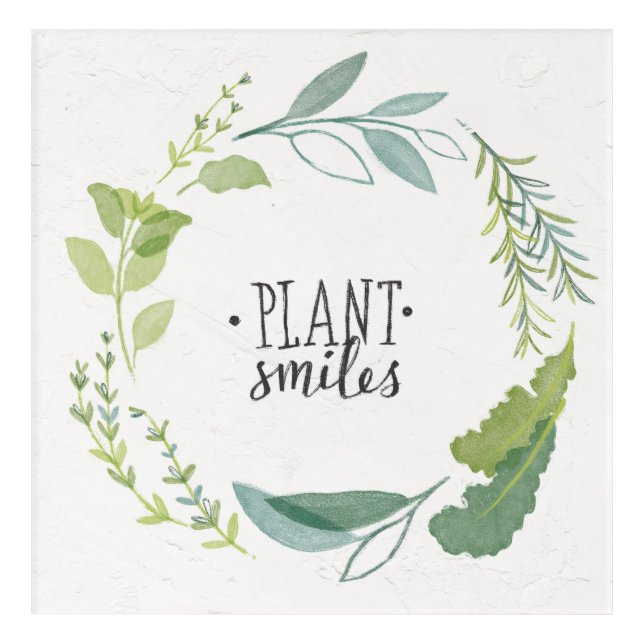 Fine Herbs II | Plant Smiles Acrylic Print (Front)