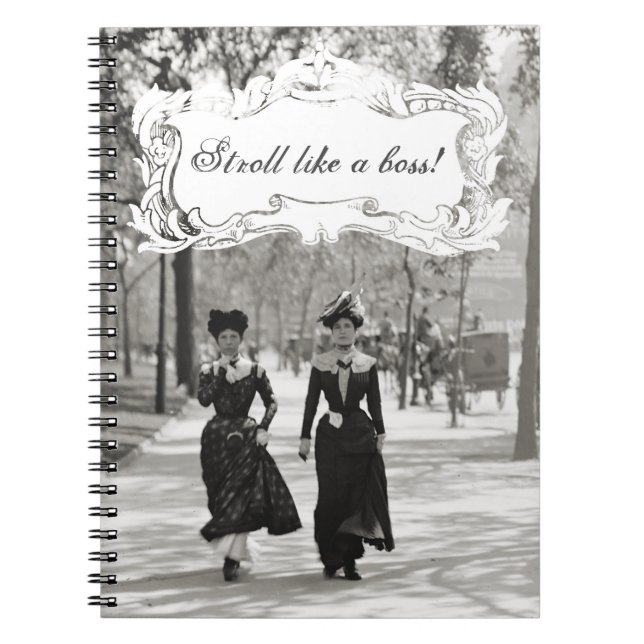 Fine Ladies Notebook (Front)
