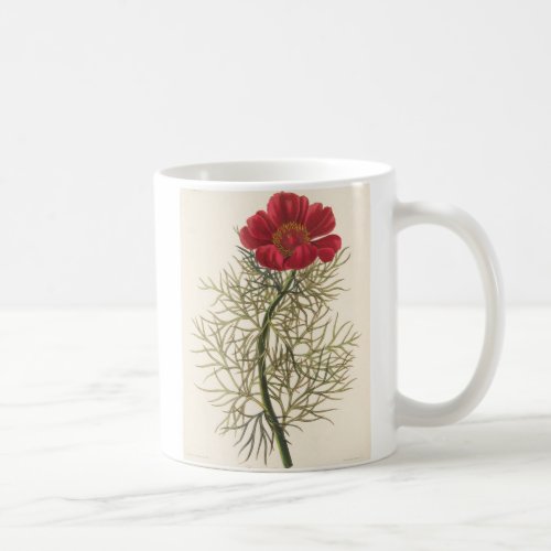 Fine Leaved Paeony Coffee Mug