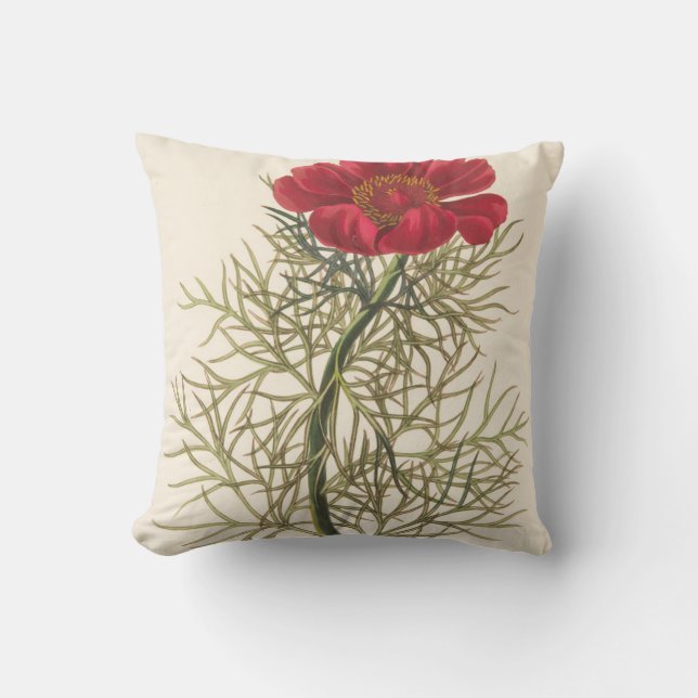 Fine Leaved Paeony Throw Pillow (Front)