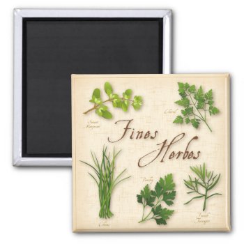 Fines Herbes Magnet by pomegranate_gallery at Zazzle