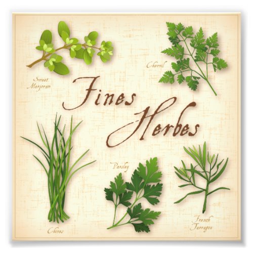 Fines Herbes Photo Print