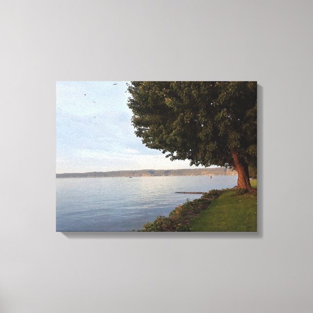 FINGER LAKES CAYUGA LAKE  CANVAS PRINT (Front)