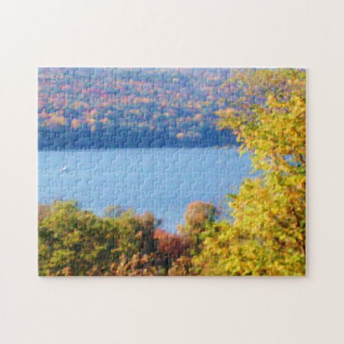 FINGER LAKES CAYUGA LAKE puzzle