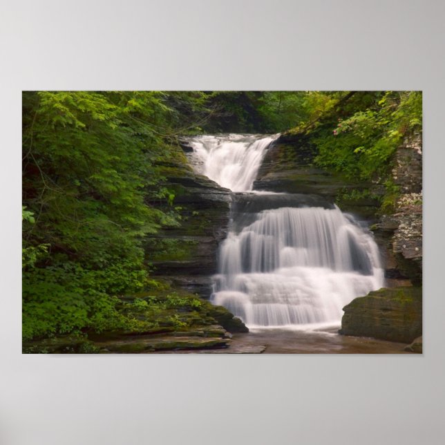 Finger Lakes Waterfall  Print (Front)