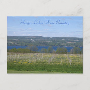 Finger Lakes Wine Country Postcard