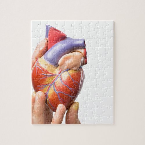 Fingers showing model human heart on whitejpg jigsaw puzzle