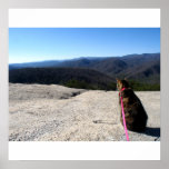 Fink On Stone Mountain Poster at Zazzle