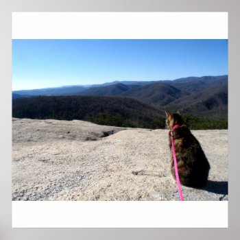 Fink On Stone Mountain Poster by GreenBusAdventures at Zazzle