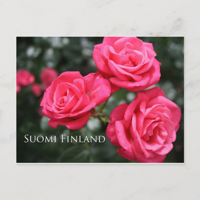 Finland in Flowers, 3rd in a series Postcard (Front)