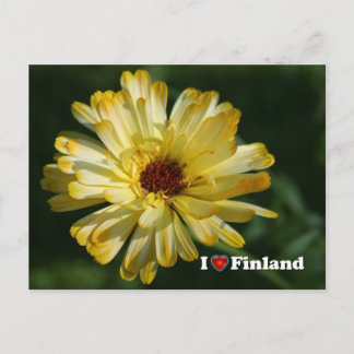 Finland in Flowers, 5th in a series Postcard
