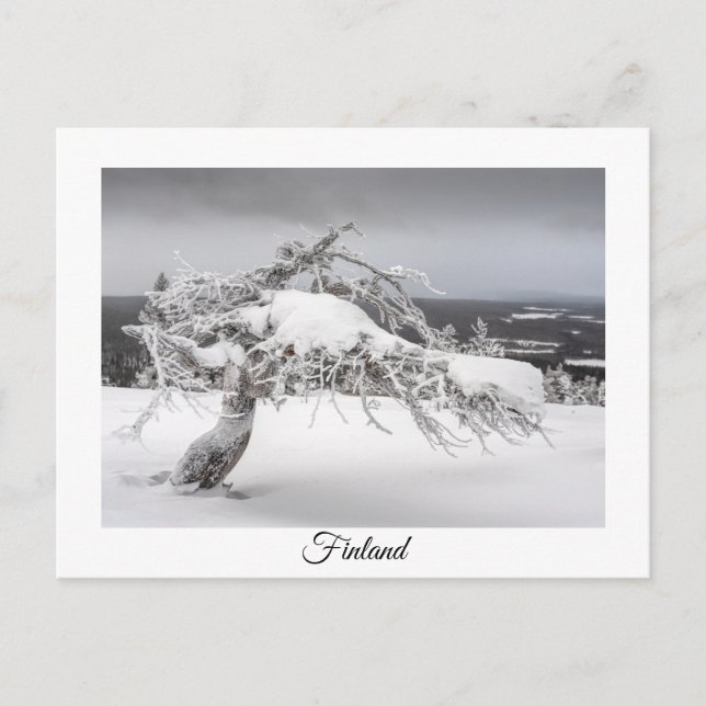 Finland winter souvenir postcard (Front)