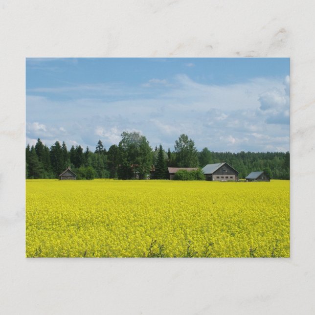 Finnish Countryside postcard (Front)