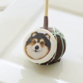 Finnish Lapphund Dog 3D Inspired Cake Pops (Front Insitu)