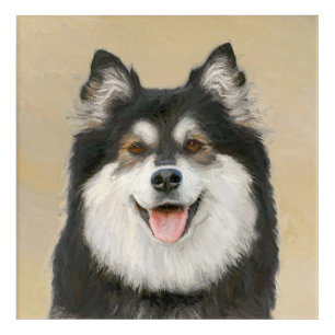 Finnish Lapphund Painting - Cute Original Dog Art