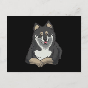 Finnish Lapphund With Stuffed Animal Postcard