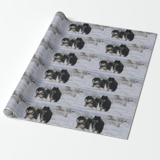 Finnish Lapphunds Wrapping Paper