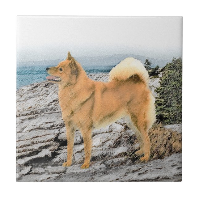 Finnish Spitz at Seashore Painting - Dog Art Ceramic Tile (Front)