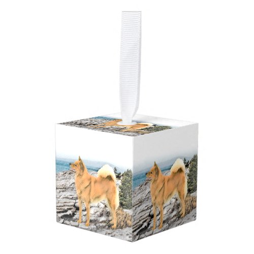 Finnish Spitz at Seashore Painting _ Dog Art Cube Ornament