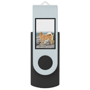 Finnish Spitz at Seashore Painting - Dog Art Flash Drive