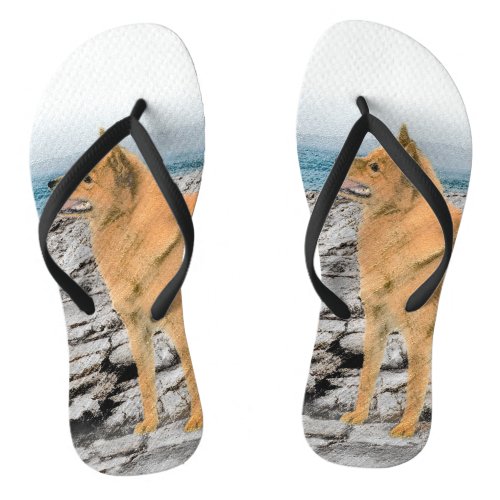 Finnish Spitz at Seashore Painting _ Dog Art Flip Flops