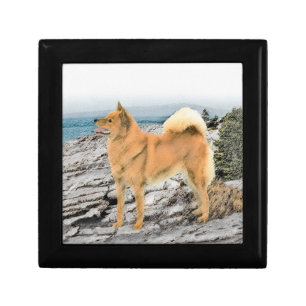 Finnish Spitz at Seashore Painting - Dog Art Gift Box
