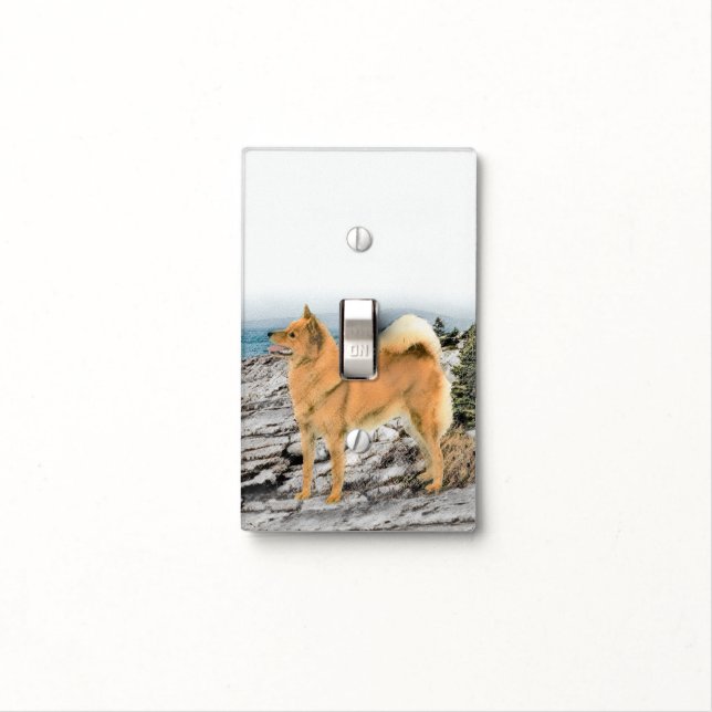 Finnish Spitz at Seashore Painting - Dog Art Light Switch Cover (In Situ)