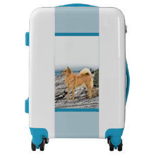 Finnish Spitz at Seashore Painting - Dog Art Luggage