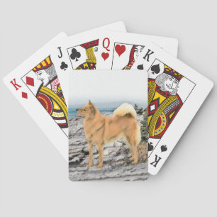 Finnish Spitz at Seashore Painting - Dog Art Poker Cards