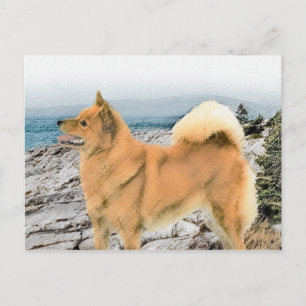 Finnish Spitz at Seashore Painting - Dog Art Postcard