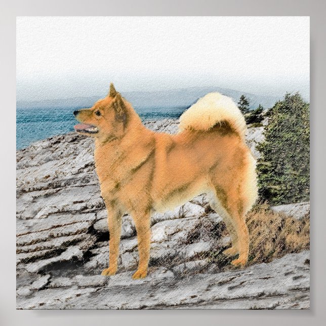 Finnish Spitz at Seashore Painting - Dog Art Poster (Front)