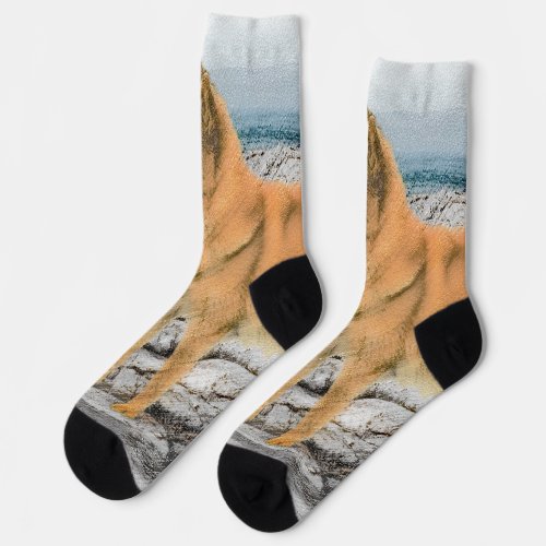 Finnish Spitz at Seashore Painting _ Dog Art Socks