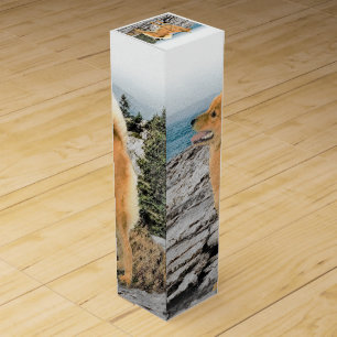 Finnish Spitz at Seashore Painting - Dog Art Wine Box