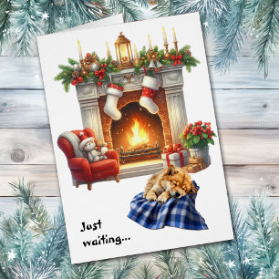 Finnish Spitz Dog Waiting for Christmas Cards