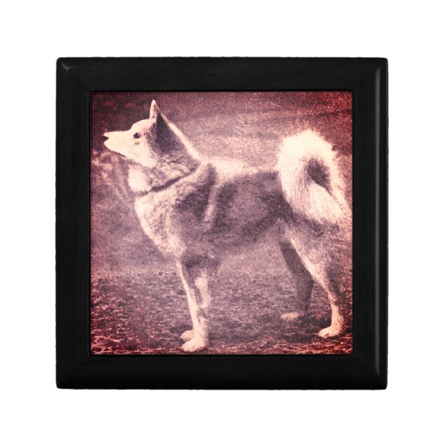 Finnish Spitz - vintage photo Gift Box (Front)