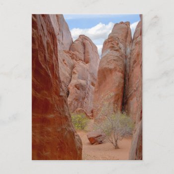 Fins  Arches National Park  Utah  Postcard by catherinesherman at Zazzle