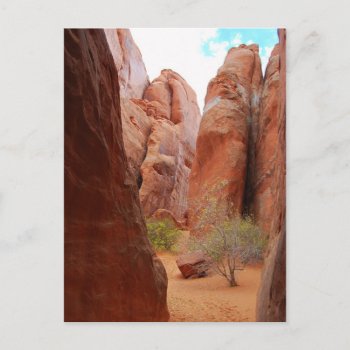 Fins  Arches National Park  Utah  Postcard by catherinesherman at Zazzle