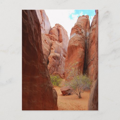 Fins Arches National Park Utah Postcard