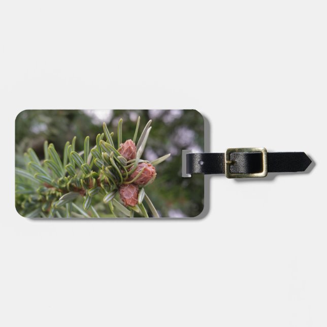 Fir buds luggage tag (Front Horizontal)