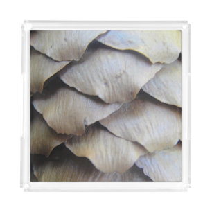 Fir Cone Pattern Acrylic Tray