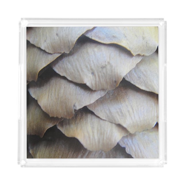 Fir Cone Pattern Acrylic Tray (Front)