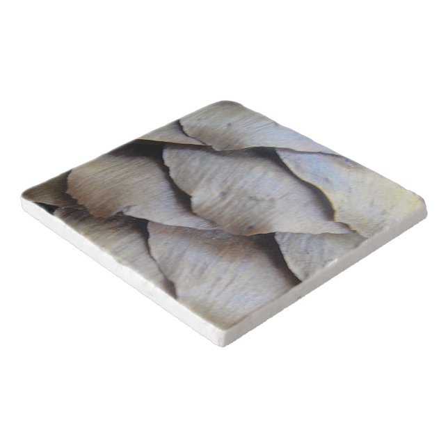 Fir Cone Pattern Trivet (Corner)