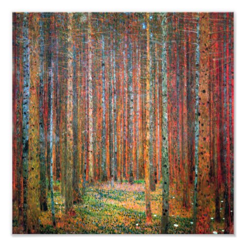 Fir Forest  Gustav Klimt  Photo Print